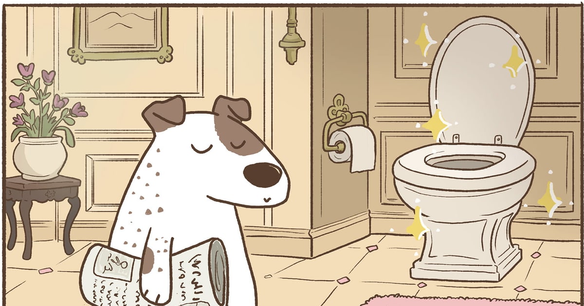 Toilette, Issue #34